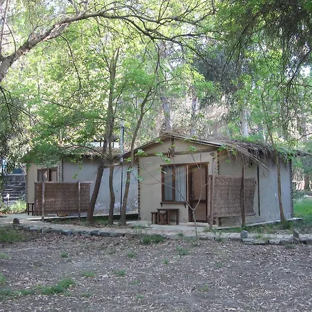 Sundance Camp